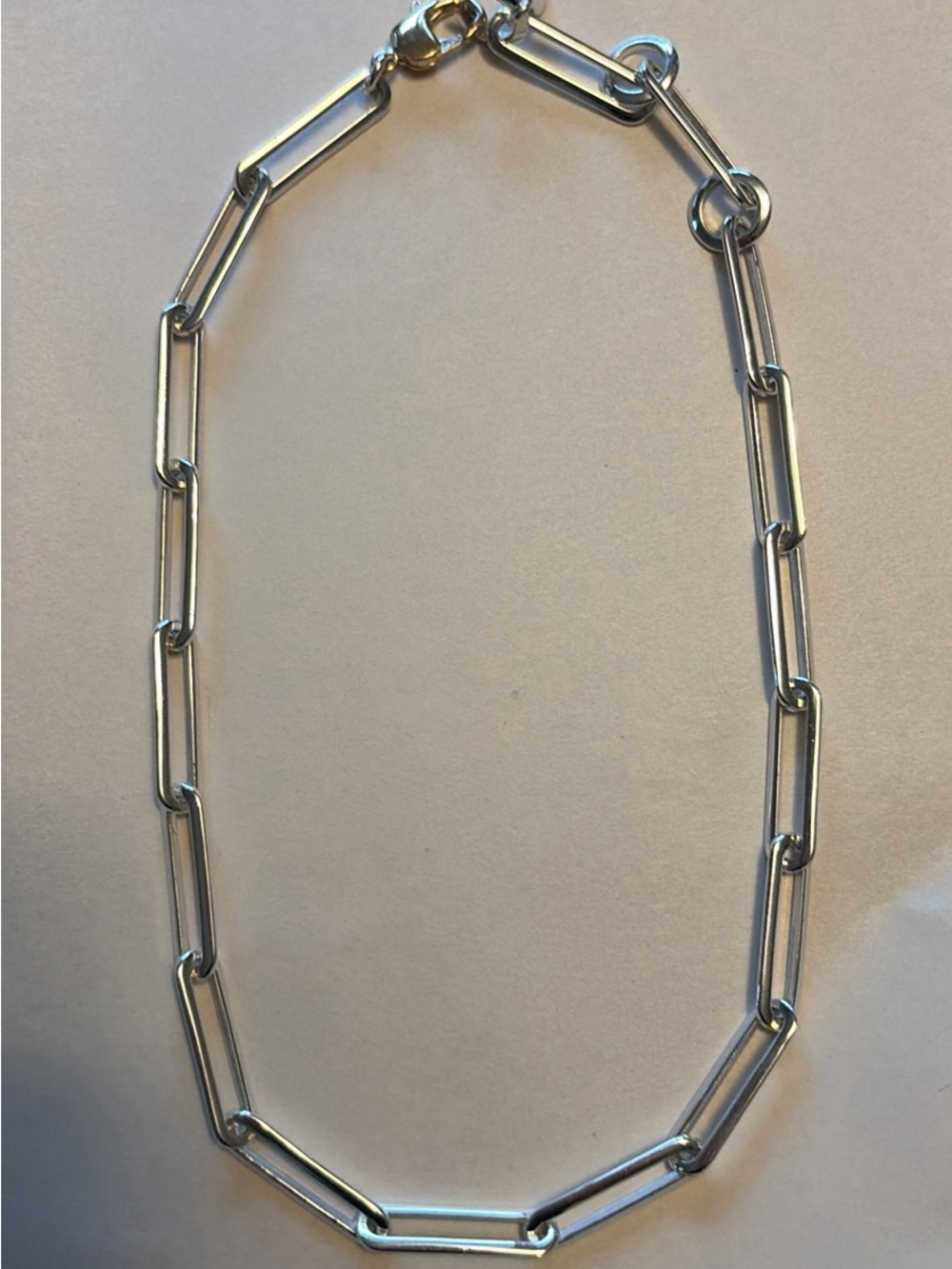 Jenny Bird Silver Paperclip Link Necklace